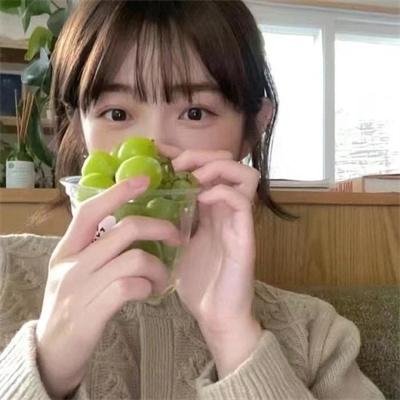 格罗斯波因特园艺社群